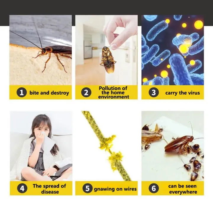 Cockroach Repellent Gel - China To BD Web